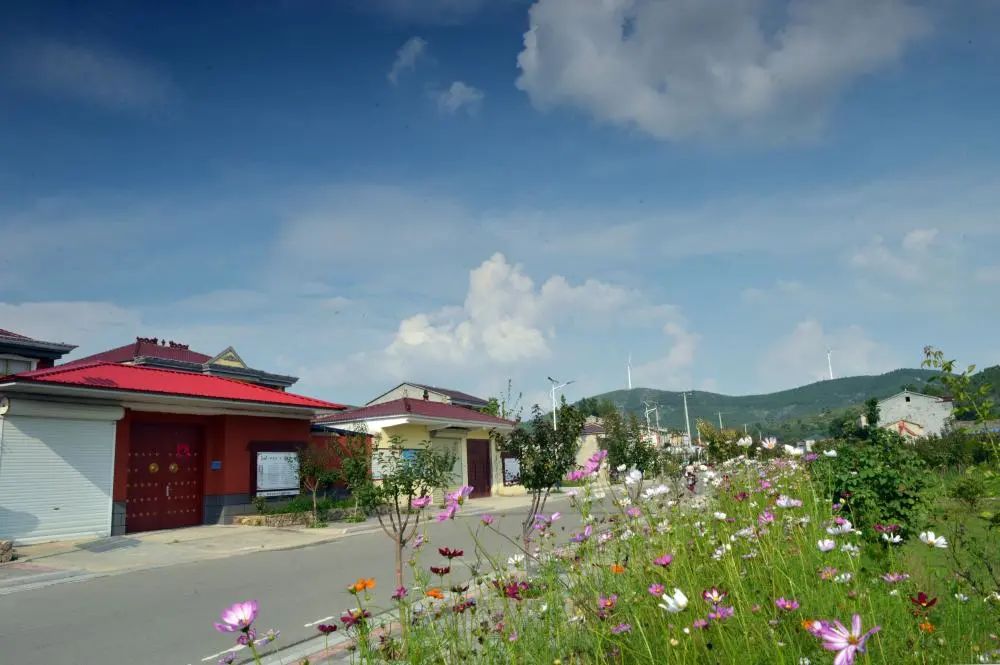 石台镇梧桐村:加快建设和美乡村 助推乡村全面振兴_杜集区人民政府