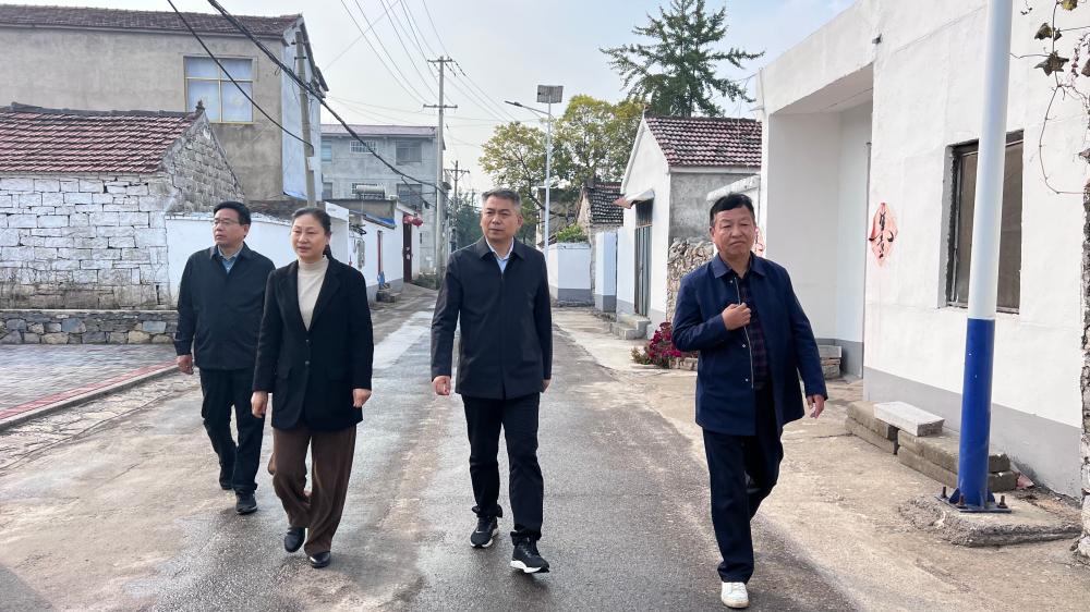 尹农纲赴石台镇调研