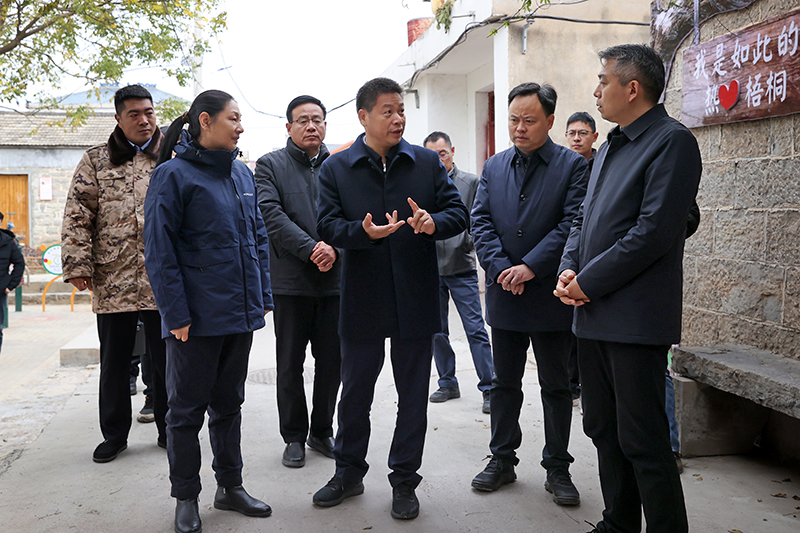 覃卫国在调研乡村振兴和重点项目建设工作时强调 