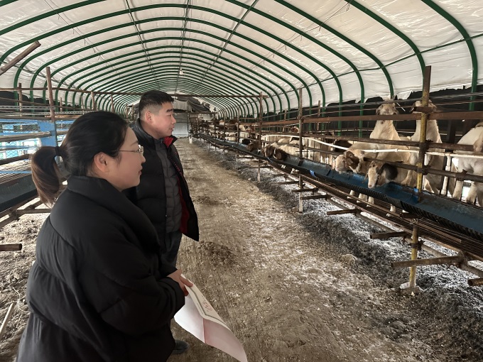 1707179885387059346.jpg 85c059ae67587cfbcec3307bae4512d.jpg