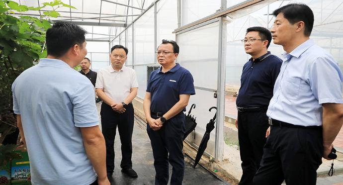 蒋曦在段园镇调研特色产业发展情况时强调