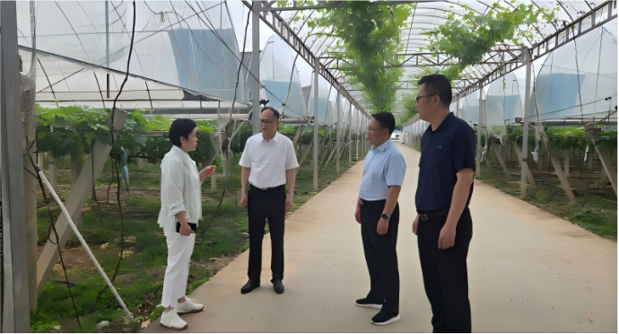 区委书记郑晓军赴高岳矿山集督导调研