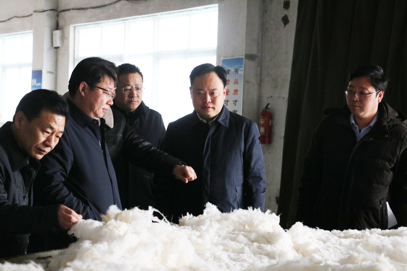 区委常委常务副区长史庆超督查一季度重点项目复工开工情况