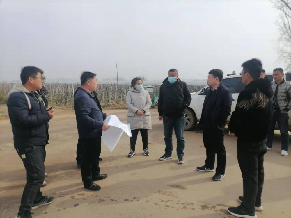 段园镇加强水利薄弱环节治理