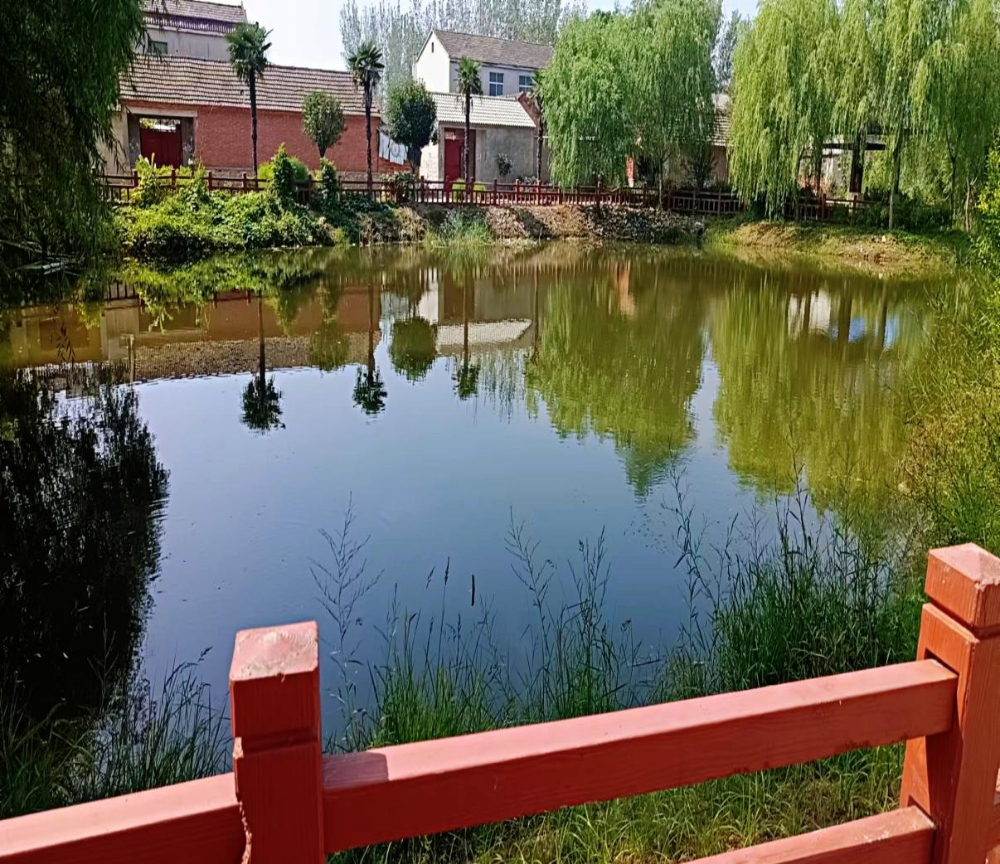 清洁行动，乡村新貌——高岳街道人居环境整治进行时_杜集区人民政府